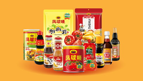 鳳球嘜 以戰(zhàn)略重塑品牌，用視覺點燃味蕾——調(diào)味品行業(yè)品牌全案策劃解析